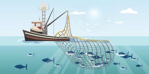 Vector commercial fishing ship with full... | Premium Vector #Freepik #vector #fishing-boat #fishery #maritime #marine Fishing Ship, Commercial Fishing, Fish Net, Fishing Net, Fishing Boat, Sea And Ocean, Art Class, Fishing Boats, Art Classes