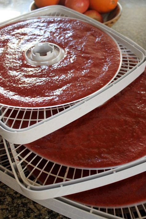 Fruit Leather Recipe Dehydrator, Fruit Roll Ups Homemade, Fruit Leather Dehydrator, Cake Sauce, Dehydrator Recipes Fruit, Strawberry Fruit Leather, Dehydrating Food Storage, Fruit Leather Recipe, Fruit Chews