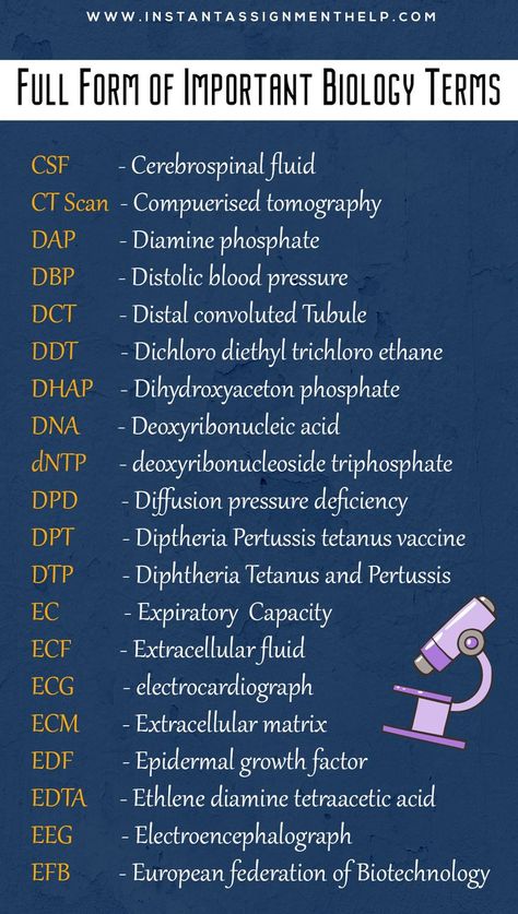 These are the very important terms and their fullforms used in the biology on daily basis. Save the pin and visit the website to get help in biology assignment. #biology Biology Terms, Biology Assignment, Extracellular Fluid, Epidermal Growth Factor, Cerebrospinal Fluid, Student Life Hacks, Assignment Writing, Science Notes, Biology Notes