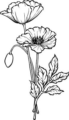 Drawing Poppies, Poppies Poem, Colored Pencil Flowers, Pencil Flowers, Poppy Coloring Page, Wood Burning Designs, Poppy Flower Tattoo, Poppy Craft, Embroidery Punch Needle