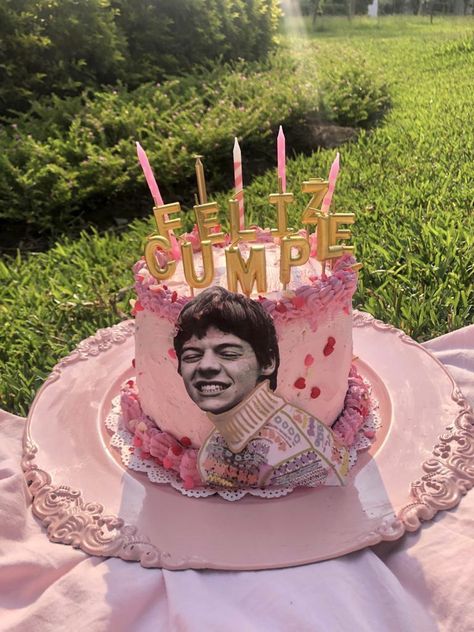 Harry Styles Cake Aesthetic, Harry Styles Inspired Cake, Harry Styles Cake, Harry Styles Birthday, One Direction Cake, Harry Birthday, Harry Core, You Are My Moon, Cute Birthday Pictures