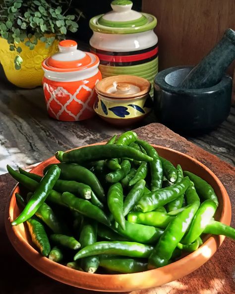 "Winter is here, and with it comes the tradition of making pickles and green chilli pickle is a staple in every Indian home... Here are 5 important tips to look for to increase the shelf life of pickles 1️⃣ Dry Everything Thoroughly: Ensure the chillies, jars, and utensils are completely dry before use. Any moisture can lead to spoilage. 2️⃣ Use Sterilized Jars: Always store the pickle in clean, sterilized, airtight glass jars to keep it fresh for longer. 3️⃣ Add Enough Oil: Cover the pick... Making Pickles, Green Chilli Pickle, Chilli Pickle, How To Make Pickles, Green Chilli, Winter Is Here, Indian Home, Amazing Recipes, Shelf Life