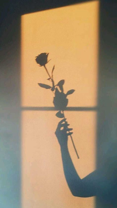 Shadow Painting, Instagram Feed Planner, Easy Photography Ideas, Anime Lock Screen Wallpapers, Aesthetic Roses, 1080p Anime Wallpaper, Shadow Photography, Flowers Photography Wallpaper, Shadow Pictures