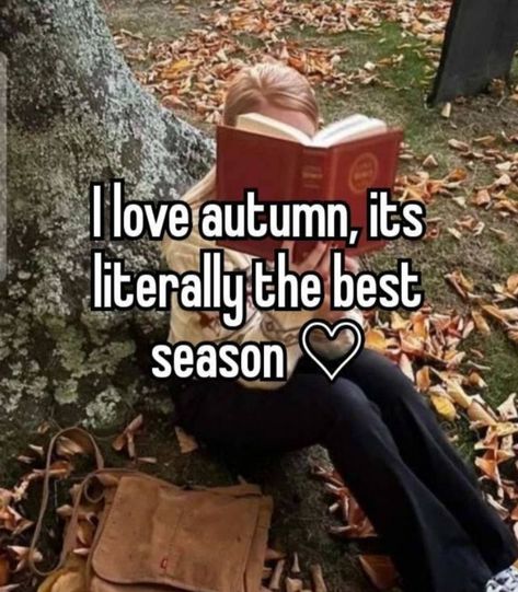 I Love Autumn, Love Autumn, Fall Mood Board, Pumpkin Spice Season, Best Seasons, Autumn Vibes, We Fall In Love, Beautiful Mind, Autumn Cozy