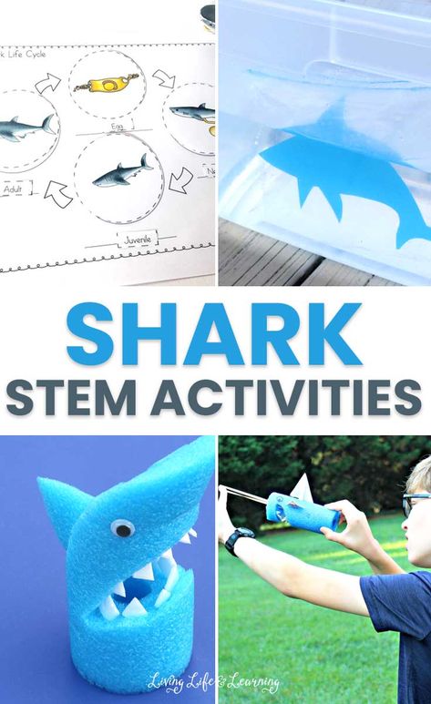 Ocean Stem Activities, Stem Activities For Preschoolers, Ocean Animals Preschool, Shark Activities, Kids Stem Activities, Stem Activities For Kids, Shark Games, Shark Craft, Sea Activities