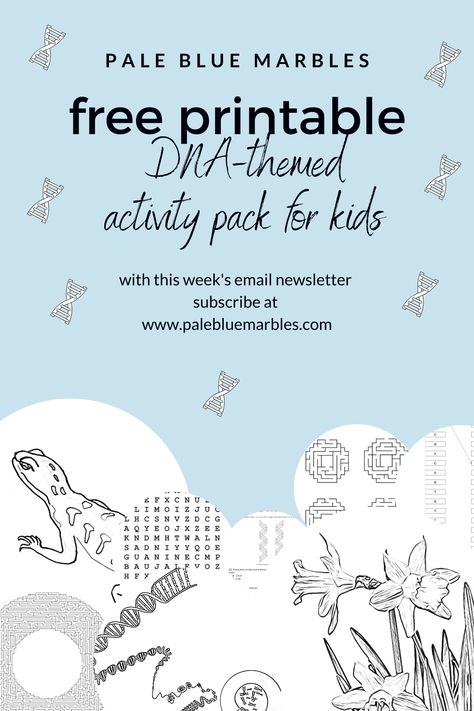 Free printable DNA-themed activities for kids. Take them on an adventure into the fascinating molecular world of life then give them these DNA-themed puzzles, worksheets, quiz and colouring pages to enjoy. Sign up for the Pale Blue Marbles email newsletter to get the link in your inbox and access to all future activity packs for your curious kids. #stem #dna #biology #sciencefromhome Dna Activities For Kids, Dna Lesson, What Is Dna, Elementary School Lesson Plans, Dna Biology, Dna Worksheet, Genetics Activities, Dna Activities, Apologia Biology