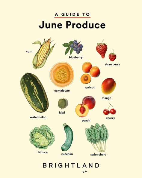 June Seasonal Produce, June Produce In Season, June Produce, Healthy Liver Diet, Seasonal Produce Guide, Cheap Vegan Meals, Homestead Life, Summer Eats, Summer Produce