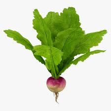 turnips can not be used for anything but eating. I looked it up on many different sites and all it said was recipes. Fish Kabab, Turnip Vegetable, Turnip Head, Yams Recipe, Country Landscaping, Root Vegetables, Cooking Tips, New Recipes, Seeds