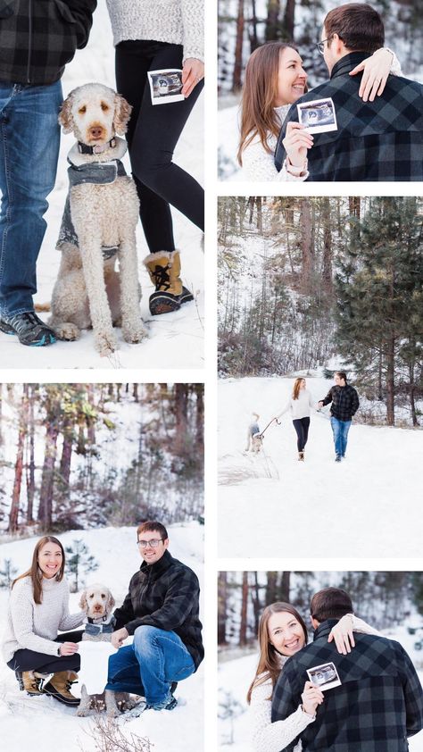 Winter Maternity Photoshoot With Dog, Winter Pregnancy Photoshoot Announcement, Pregnancy Announcement Photoshoot With Dog, Snowy Pregnancy Announcement, Pregnancy Announcement Photoshoot Winter, Winter Pregnancy Announcement Photoshoot, Snow Pregnancy Announcement, Pregnancy Announcement Photos With Dogs, Snow Baby Announcement