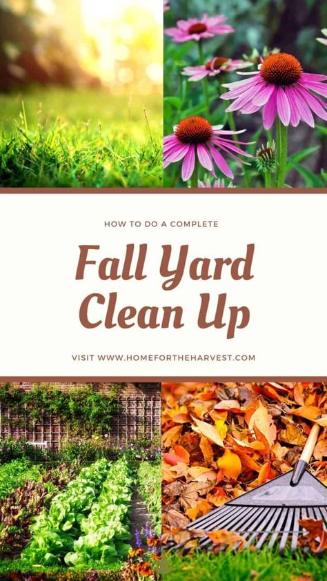 Fall yard clean up makes a big difference preparing your garden for winter. A good fall clean up will lead to a more productive growing season next year as well as a healthier lawn. Let’s look at the fall garden yard work chores that will help keep your garden happy and healthy. Yard Clean Up Tips, Fall Yard Work, Fall Lawn Maintenance, Cold Climate Gardening, Pruning Plants, Yard Cleanup, Small Flower Gardens, Fall Yard, Raking Leaves