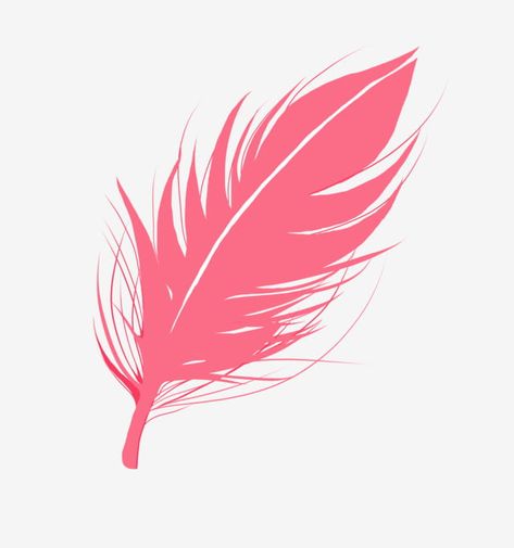 Feather Illustration, Feather Logo, Rose Png, Color Explosion, Feather Tattoo, Pink Feathers, Color Rosa, Png Clipart, Pretty In Pink