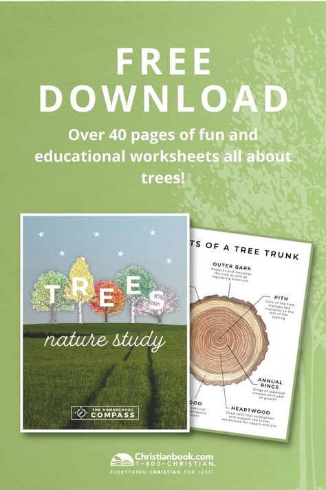 Homeschool Botany, Tree Unit Study Free Printable, Parts Of A Tree Printable, Free Science Curriculum, Parts Of A Tree Worksheet, Kindergarten Nature Study, Botany Unit Study, Tree Unit Study, Free Unit Studies