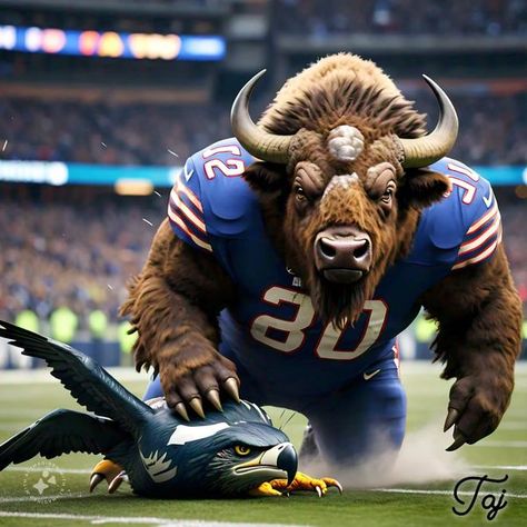 Buffalo bills fans | Alright we got the Official Pic #4 of the Bills vs Seahawk's the hawk's getting grounded by the Bills LET'S GO BUFFALO AND WIN💯🔥💥😍💪👊... | Facebook Buffalo Bills Football, Bills Football, Buffalo Bill, Buffalo Bills, Letting Go, Buffalo, Football, Fan, Sports