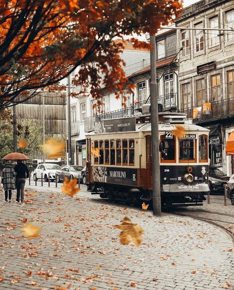 Porto ✦ Oporto ✦  SUPER PORTO on Instagram: “Porto | Portugal  Photo: @andrechaica  #super_porto_ #super_porto ♡  #portugal #portogallo #porto #oporto #tram #streetview #autumn” Porto Travel, Porto Portugal, Lisbon, Cool Photos, Portugal, Street View, Road, For Sale, Travel