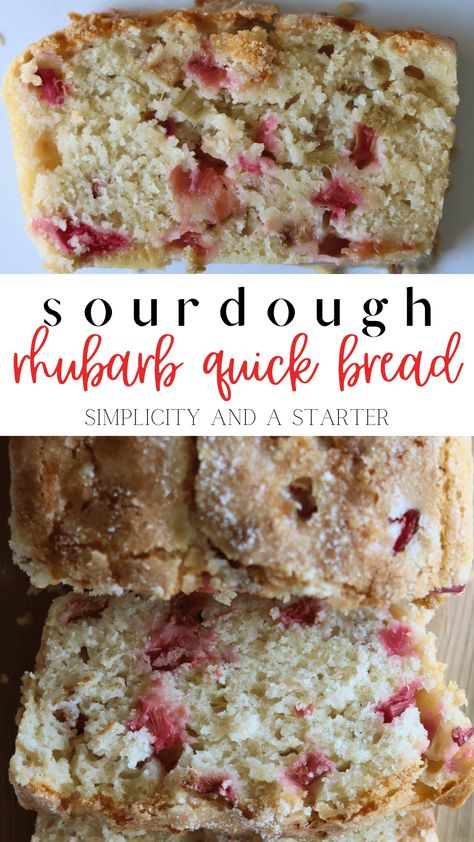 Pieces of tart rhubarb laced in a moist sourdough quick bread, this Sourdough Rhubarb Bread recipe is sure to be a go-to every summer! Made with sourdough discard, it's quick to make and topped with extra sugar for a sweet and crispy crust. Sourdough Discard Rhubarb Recipes, Sourdough Rhubarb Recipes, Rhubarb Sourdough, Sourdough Instructions, Quick Sourdough Recipes, Sourdough Rhubarb, Rhubarb Quick Bread, Sourdough Quick Bread, Rhubarb Bread Recipe