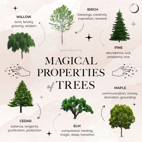 Love By Luna® on Instagram: “Magical Properties of Trees Pt. 1 🌳 Many posts talk about the magical properties of herbs and crystals, but what about trees? ✨ All around…” Tree Meanings, Magical Trees, Fertility Health, Magical Tree, Witch Spirituality, Wiccan Spell Book, Jar Art, Herbal Magic, Green Witch