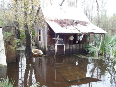 pic inspiration - Swamp Shack Witch Shack, Small Backyard Decorating Ideas, Swamp Paintings, Haunted Swamp, Swamp Shack, Queen Susan, Backyard Decorating Ideas, Bayou House, Swamp Party