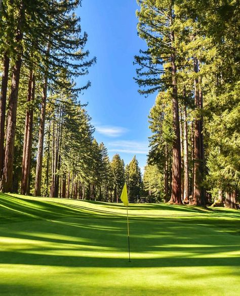 Beautiful Golf Courses on Instagram: “One of our favorite courses to get pictures of, Northwood Golf Club, located in Monte Rio, CA. The Alister MacKenzie design is considered…” Beautiful Golf Courses, Golf Course Photography, Augusta Golf, Beautiful Resorts, Famous Golf Courses, Public Golf Courses, Holiday Tips, Mini Golf Course, Golf Course Wedding