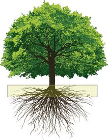 Long tails of \int_e^r est: A Quick Mnemonic for Fractional Exponents Tree Roots Drawing, Tree With Roots Drawing, Oak Tree Roots, Oak Tree Drawings, Roots Drawing, Tree With Roots, Tree Of Life Artwork, Dry Tree, Tree Root