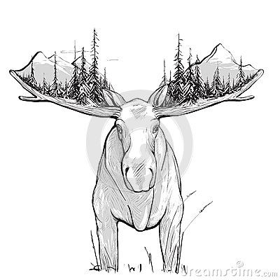 Moose Forest And Mountains Illustration - Download From Over 40 Million High Quality Stock Photos, Images, Vectors. Sign up for FREE today. Image: 44776992 The Nature Drawing, Moose Paintings, Ck Shirt, Maine Tattoo, Cartoon Moose, Ellicottville Ny, Alaska Tattoo, Moose Illustration, Wilderness Tattoo