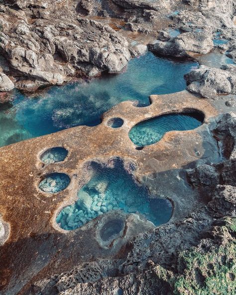 Destination Greater Victoria na Twitterze: „📍Botanical Beach Did you know that low tide at Botanical Beach exposes these incredible tide pools? They're like a window into the Salish Sea. Discover this beach just two hours from downtown Victoria in Port Renfrew! https://t.co/ZuZHVuuXvX 📸: Kim Arklie #ExploreVictoria https://t.co/sokJjhOfpN” / Twitter Tide Pool Art, Tide Pools Aesthetic, Tide Pool Aesthetic, Tide Aesthetic, September Rain, Beach Jungle, Salish Sea, Tidal Pool, Tide Pool