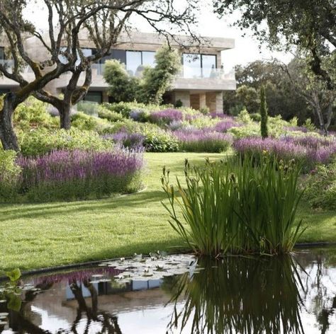 Landscape - Contemp 3 Formal Garden Design, Landscaping Backyard, Landscaping Garden, Modern Landscape Design, Modern Garden Design, Have Inspiration, Landscape Plans, A Pond, Natural Garden