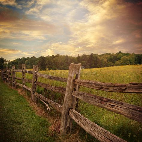 Wooden Fence with Clouds in Country Background. An old rustic wooden fence is in , #Ad, #Background, #rustic, #wooden, #Country, #Wooden #ad Country Background, Freedom Images, Stock Fencing, Background Clouds, Trees And Clouds, Wooden Fences, Country Backgrounds, Country Fences, Forest Mural