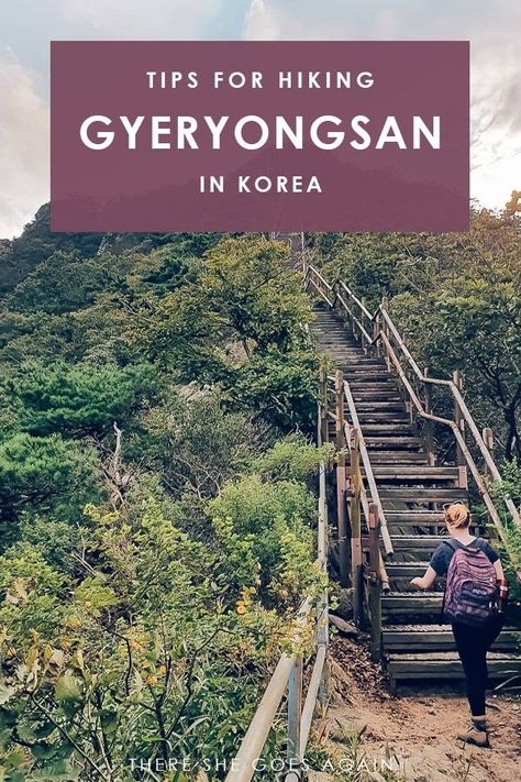 A guide to hiking Gyeryongsan National Park in Korea | daejeon korea, hiking korea, outdoors korea, korea travel Hiking In Korea, Park In Korea, Korean Mountains, Bukhansan National Park Seoul, Hiking In Japan, Korea Mountain, South Korea Hiking, South Korea Tourist Spots, Cities In Korea