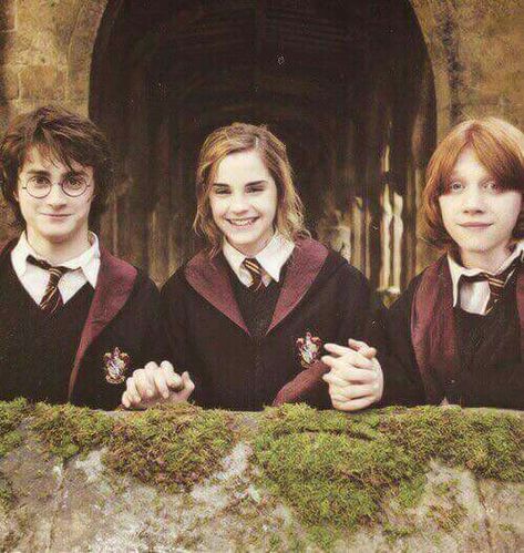 Harry with his best friends Ron and Hermione Ron Hermione And Harry, Hermione And Harry, Citate Harry Potter, Art Harry Potter, Ron Hermione, Buku Harry Potter, The Golden Trio, Theme Harry Potter, Harry Potter Ron