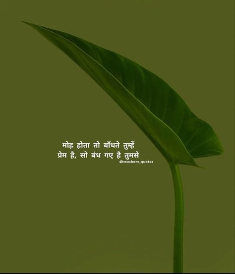 Pin on shayari Deep Love Quotes In Hindi, Hubby Love Quotes, Dear Zindagi Quotes, First Love Quotes, Reality Of Life Quotes, Love Quotes In Hindi, Awakening Quotes, Cute Images With Quotes, Motivational Picture Quotes