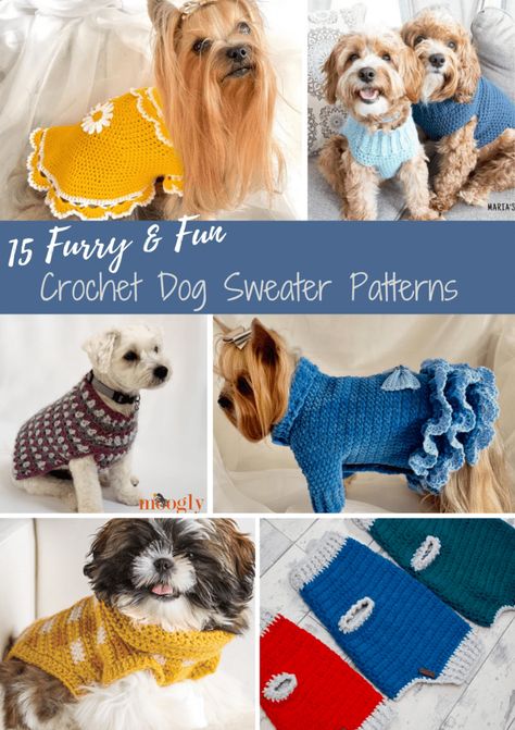 Crochet Dog Sweater Patterns, Crochet Dog Sweater Free Pattern, Cat Jacket, Dresses Patterns, Crochet Dog Clothes, Crochet Pet, Dog Sweater Crochet Pattern, Fun Sweater, Dog Sweater Pattern