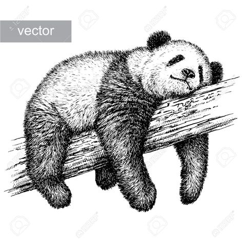 Panda Sketch, Panda Bear Art, Panda Bear Tattoos, Bear Sketch, Panda Tattoo, Panda Drawing, Linear Art, Stippling Art, Bear Drawing