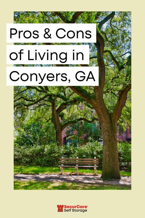 Conyers Georgia, Cheapest Places To Live, Stone Mountain Park, Atlanta Beltline, Georgia Coast, Georgia Aquarium, Piedmont Park, Great Escape, Place To Live