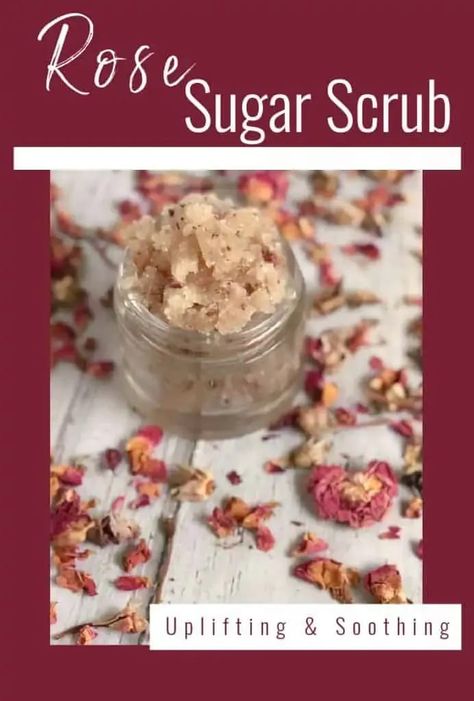 Learn how to make your own rose sugar scrub! This exfoliating scrub smells heavenly and only requires a few ingredients to make! Scrubs Recipes, Rose Sugar Scrub, Herbal Diy, Diy Scrubs, Natural Sugar Scrubs, Lemon Sugar Scrub, Scrub Diy, Fresh Rose Petals, Sugar Scrub Homemade