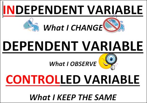 Qualitative Vs Quantitative, Science Inquiry, Science Anchor Charts, 7th Grade Science, 8th Grade Science, Science Notebooks, 4th Grade Science, 6th Grade Science, 5th Grade Science