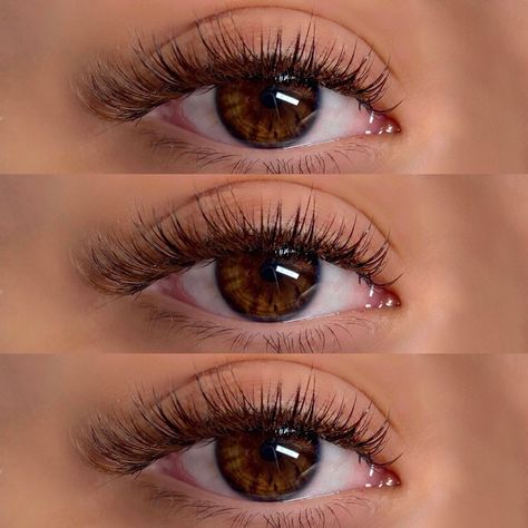 Beautiful brown almond eyes almond eyes Roundish Almond Eyes, Brown Almond Eyes, Lost Sheep, The Lost Sheep, Almond Eyes, Wispy Lashes, Natural Brown, Sheep, Mood Board