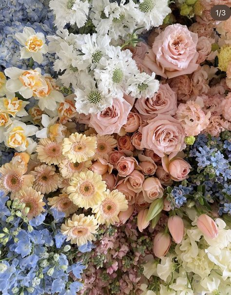 Aurora Wedding, Pastel Wedding Flowers, Color Celeste, Bloom Baby, Spring Pastels, Flower Therapy, Beautiful Bouquet Of Flowers, Pastel Wedding, Wildflower Wedding