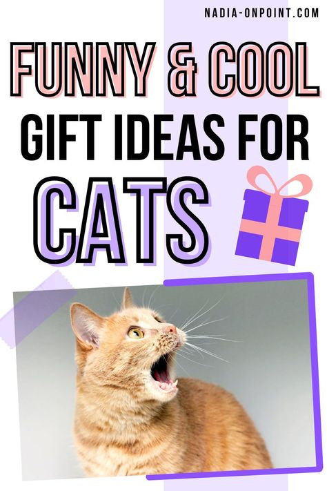 Trendy Gift Guides and Ideas! Do you know someone with a Cat? If so, here are some awesome and Trendy Gifts for Cats which Pet Lovers will adore! You will find funny and cute product Ideas for Cats and Kittens which will also be funny during Christmas. Gifts for people with Cats. #Pets #Pet #Petlovers #Cat #kitten #cute #funny Cat Gifts For People, Pet Gift Basket, Gifts For Cats, Ideas For Cats, Cat Presents, Colorful Hairstyles, Kitten Cute, Cool Gift Ideas, Gifts For Cat Lovers