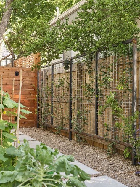 Pergola with Vines: Cover a pergola with grapevines, wisteria, or roses.
Fabric Drapes: Use outdoor fabric or sheer curtains for shade and privacy.
Arched Arbors: Place arbors at entry points with hanging plants or lights.
Canopy with Lights: Add string lights or lanterns for an evening ambiance.
Hashtags:
#PergolaDesign
#GardenArbor
#ClimbingPlants
#OutdoorLiving
#GardenRetreat
#PergolaVibes
#GardenCanopy Garden Privacy Ideas, Airbnb Bathroom, Privacy Screen Ideas, Backyard Trellis, Fence Trellis, Garden Screens, Privacy Ideas, Garden Privacy Screen, Cheap Garden