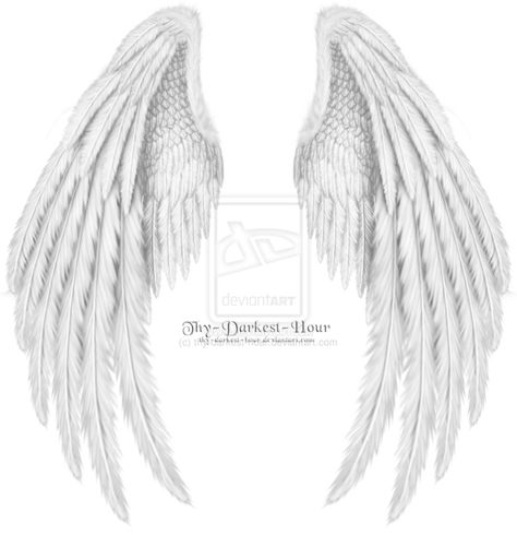 folded wings Folded Wings Tattoo, Folded Wings Drawing, Folded Wings Reference, Drawing Angel Wings, Folded Angel Wings, Angel Wings Folded, Drawing Angel, Fallen Angel Wings, Wings Tattoos