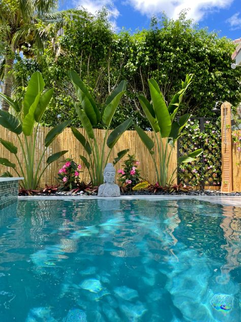 Miami Backyard Landscaping, Pool Side Decorating Ideas Patio, Pool Corner Landscaping, Pool Entryway Ideas, Backyard Landscaping Around Pool, Pool Tropical Landscaping, Tropical Landscaping Front Yard Florida Garden Ideas, Tropical Pool Decor, Pool Planting Ideas