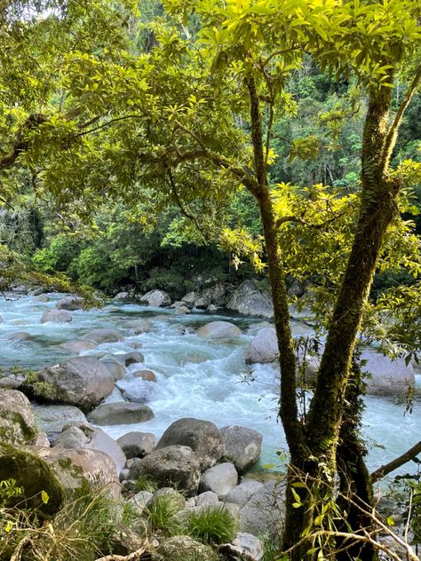 Fairy core creek sun water aesthetic Eleanor + Core + Aesthetic, Different Core Aesthetics, Lost Frank Ocean, Green Academia, Conjoined Twins, Forest Core, Water Aesthetic, Sun Water, Pretty Landscapes