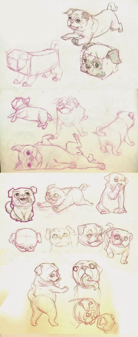 Pug Drawing, Pug Artwork, Pug Art, Dog Sketch, Animal Study, 강아지 그림, Animal Drawing, Poses References, Animal Sketches