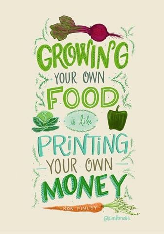 Growing your own food is like printing your own money Vegetables Quote, Growing Vegetables From Seeds, Fast Growing Vegetables, Growing Vegetables Indoors, Growing Vegetables In Pots, Typographic Quote, Easy Vegetables To Grow, Plants Quotes, Garden Quotes