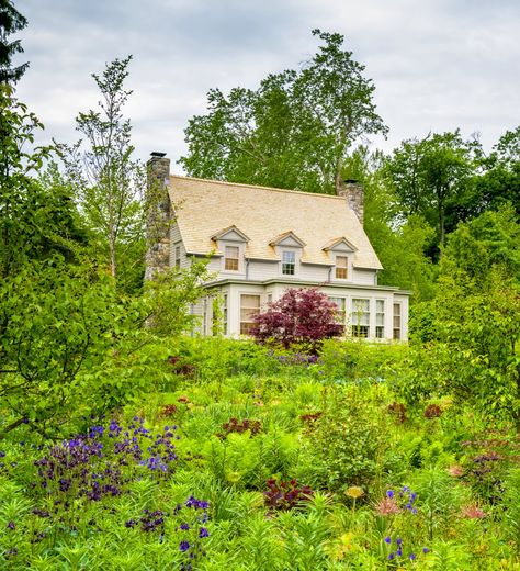 Peony Bedding, Perennial Flower, Colonial Exterior, Sunken Garden, Martha Stewart Living, Peonies Garden, Big Leaves, The Tenant, Photo Look