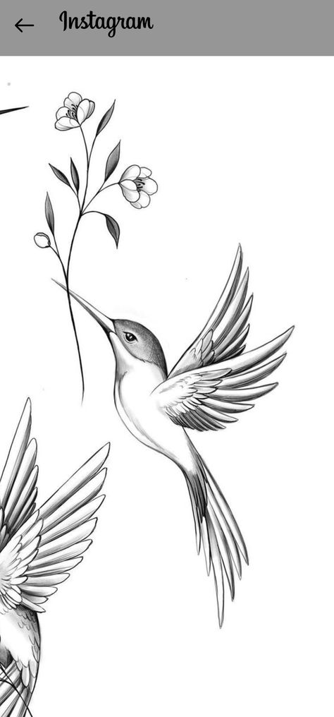 Hummingbird Neotraditional, Bird Holding Flower Tattoo, Hummingbird Tattoo Stencil, Tattoo Artist Business Cards, Hummingbird Drawing, Flor Tattoo, Shrink Paper, Stylish Nails Designs, Hummingbird Tattoo