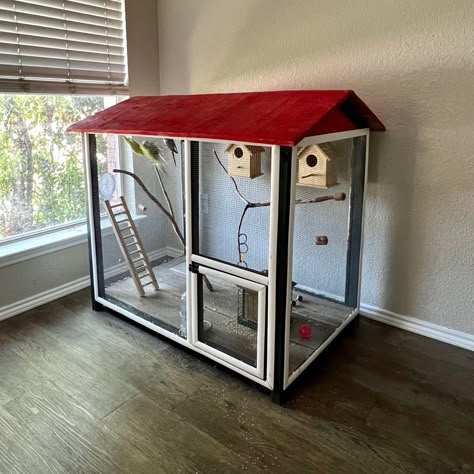 Baby Squirrel Care, Lovebird Cage Setup, Parrot Cage Aesthetic, Bioactive Bird Cage, Indoor Rabbit Cage, Parrot In Cage, Cage Bird, Cage Decor, Pet Bird Aesthetic Cage