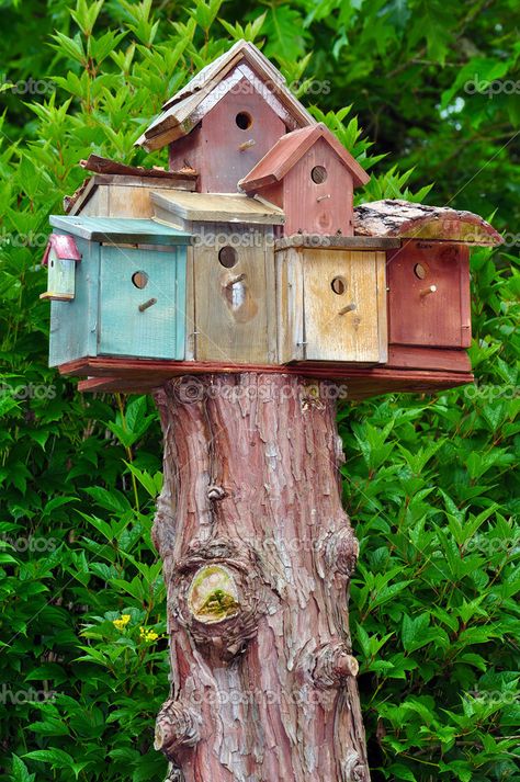 Baumstümpfe schnell und richtig entfernen                                                                                                                                                                                 Mehr Removing Tree Stumps, As Aesthetic, Cool Tree Houses, Bird House Kits, Light Crafts, Have Inspiration, Odaiba, Tree Stump, Garden Care