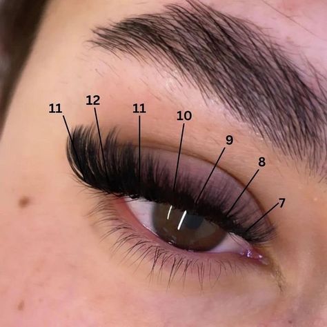 D Curl Lash Extensions Mapping, 3d Lash Extensions, Natural Fake Eyelashes, Best Lash Extensions, Lashes Fake Eyelashes, Lashes Tutorial, Eyelash Technician, Cat Eye Lash, Lash Extensions Styles