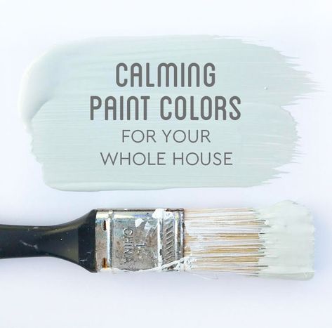 Calming Paint Colors for Your Whole House Calming Bedroom Colors Sherwin Williams, Coastal Living Room Paint Color Ideas, Whole House Paint Scheme Light And Airy, Icicle Sherwin Williams, Seasalt Sw Living Room, Sw Crushed Ice Living Room, Sherwin Williams Crushed Ice Living Room, Modern Coastal Paint Colors Sherwin Williams, Sea Salt Sherwin Williams Kitchen